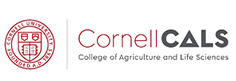 Cornell Cals logo